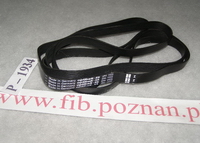PASEK 1922 H8 EL OPTIBELT